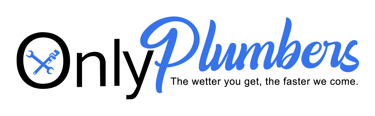 Only Plumbers Sticker